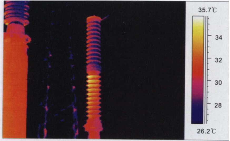 圖8.2 220 kV耦合電容器內(nèi)部缺陷 （上節(jié)tg&delta;為0.2%， 下節(jié)為0.64%）